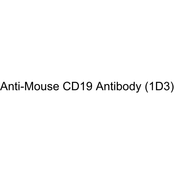 Anti-Mouse CD19 Antibody (1D3)